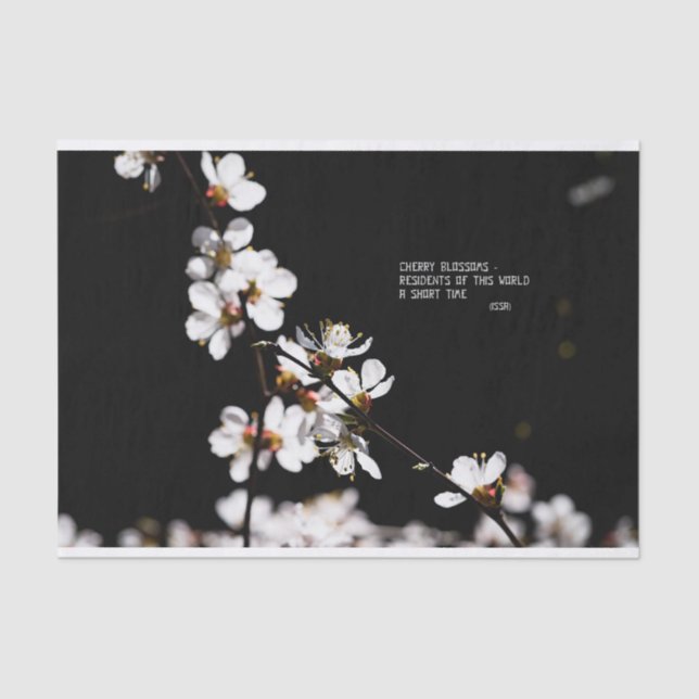 Papel De Seda Flores Sakura (Frente )