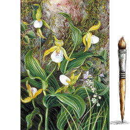 Papel De Seda Flores Selvagens de Simla, Índia por Marianne Nort