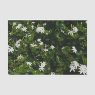 Papel De Seda Flores Tropicais De Jasmine