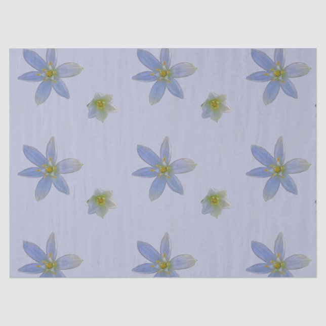 Papel De Seda florescer em branco (Frente )