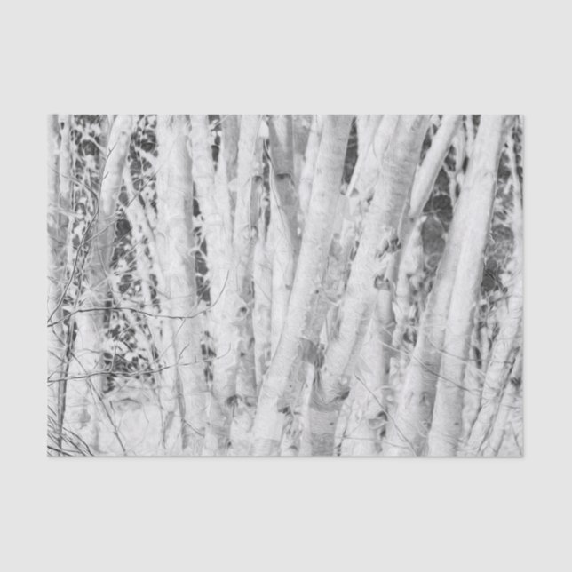 Papel De Seda Floresta Bétulas Pretas e Brancas (Frente )