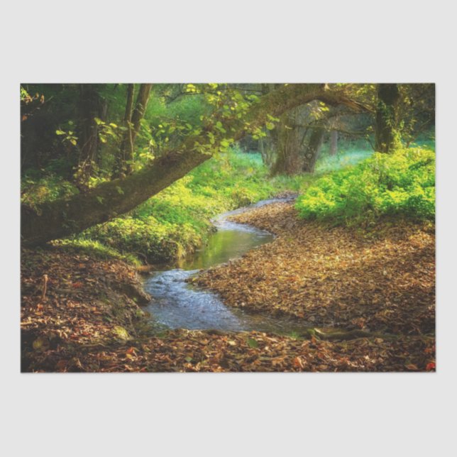 Papel De Seda Floresta Creek Belo Paisagem Natural (Frente )