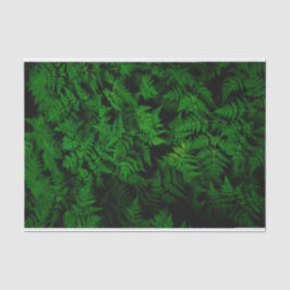 Papel De Seda Floresta de Dinossauros