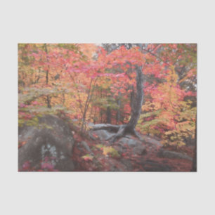 Papel De Seda Floresta de Madeira Outonal Vermelha Laranja Decou