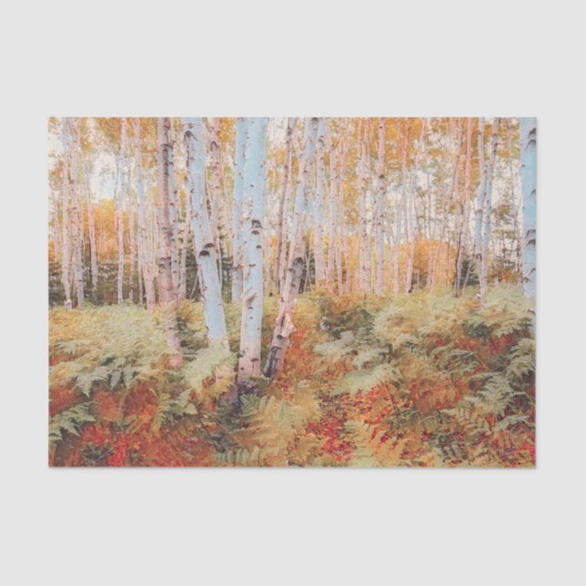 Papel De Seda Floresta de samambaia de bosque de outono árvores  (Frente )