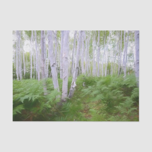 Papel De Seda Floresta de samambaia verde de madeira de outono Á (Frente )