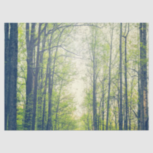 Papel De Seda Floresta mística