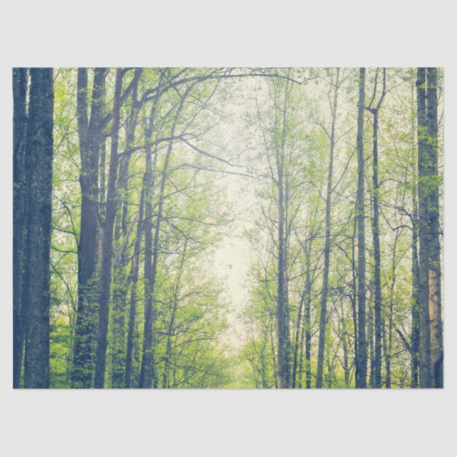 Papel De Seda Floresta mística (Frente )