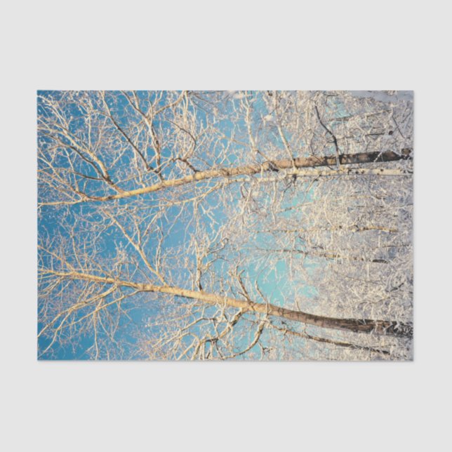 Papel De Seda Florestas Blue Sky Woodland (Frente )