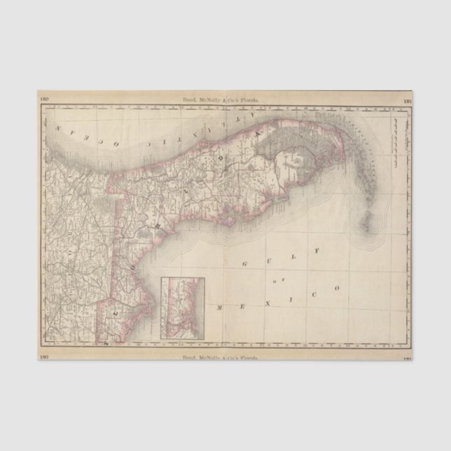 Papel De Seda Florida 10 (Frente )