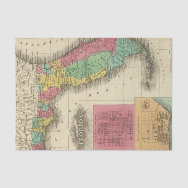 Papel De Seda Florida 10 2 (Frente )