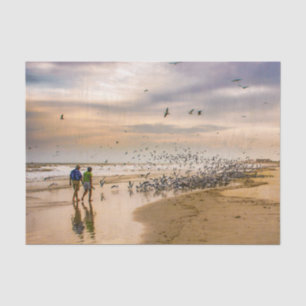 Papel De Seda Florida Beach no Sunset - Viagem Photography Birds