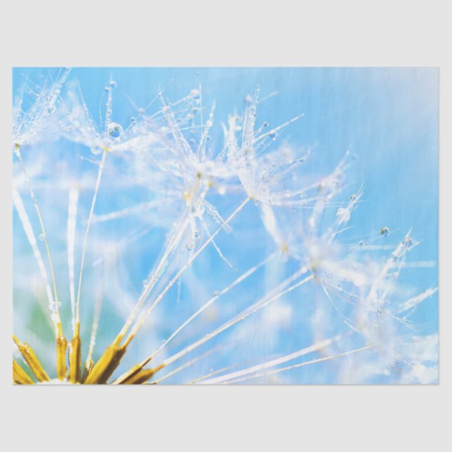 Papel De Seda Flower Lover | Linda Flor Dandelion (Frente )