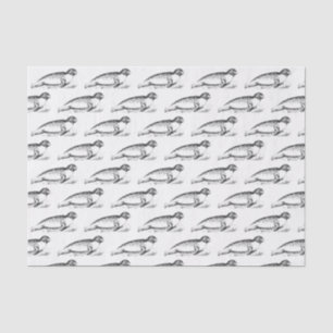 Papel De Seda Foca-Leão-Marinho Manchada Estilizada Vintage