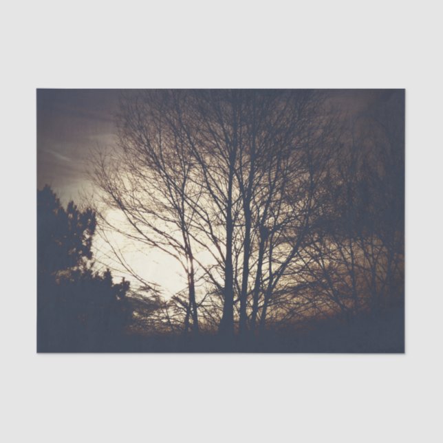 Papel De Seda Foggy Fall Night (Frente )