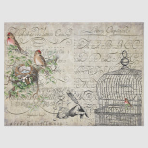 Papel De Seda Folha de Decoupage das coisas efêmeras do pássar