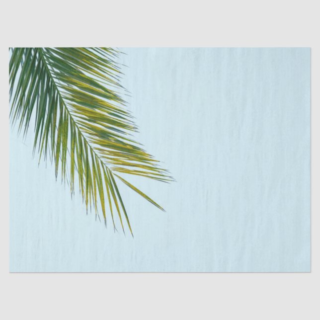 Papel De Seda Folha de Palmeira Verde Tropical em Azul Claro (Frente )