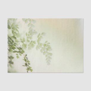 Papel De Seda Folhagem primavera