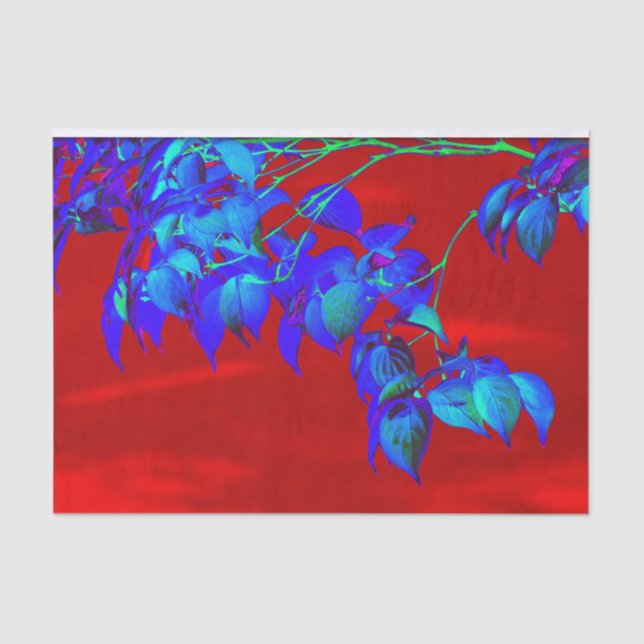 Papel De Seda Folhas Azuis do Céu Vermelho (Frente )