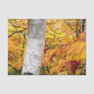 Papel De Seda Folhas da Floresta de Bétula Pintadas de Amarelo d