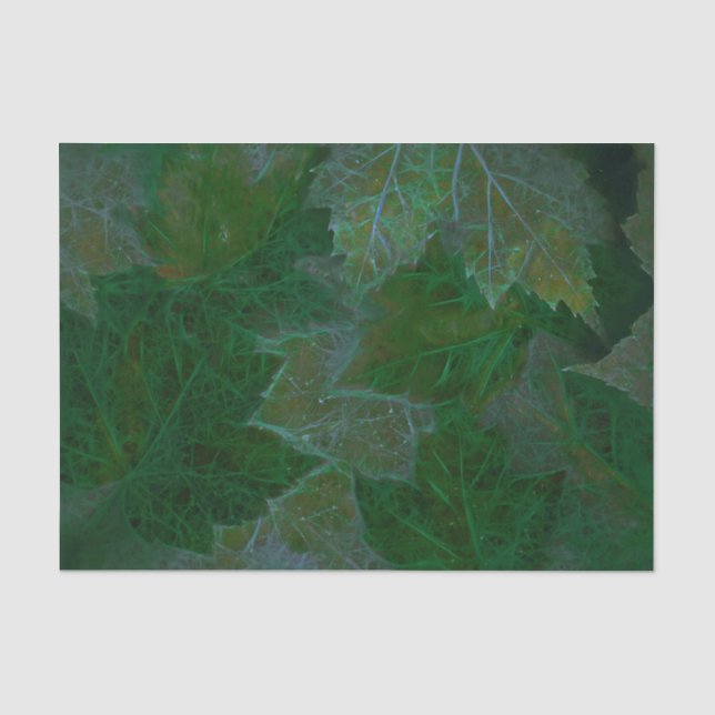 Papel De Seda Folhas de Bordo Verde Neon Verão (Frente )