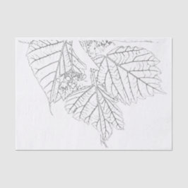 Papel De Seda Folhas de madeira