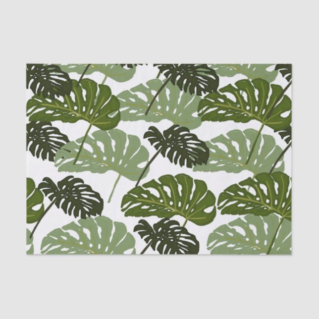 Papel De Seda Folhas de Monstera Tropical Verde (Frente )