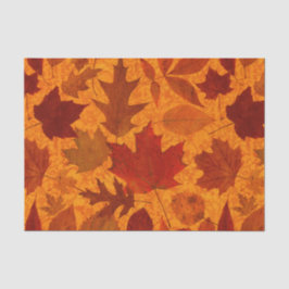 Papel De Seda Folhas de outono alaranjadas