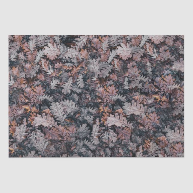 Papel De Seda Folhas de outono Gótica (Frente )