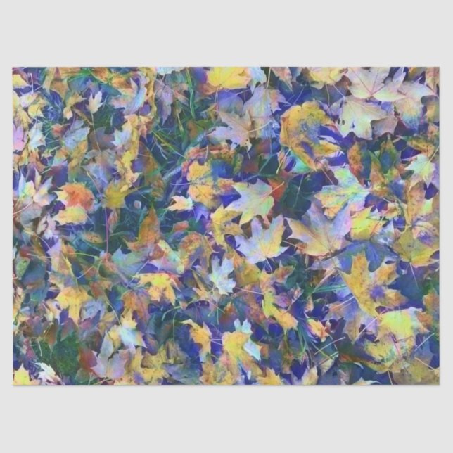 Papel De Seda Folhas do azul da queda (Frente )