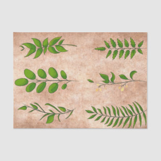 Papel De Seda Folhas verdes plantas folhagens envelhecidas sépia