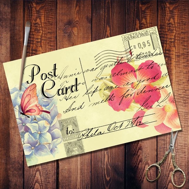 Papel De Seda Folheto Informativo Australiano de Ephemera (Criador carregado)