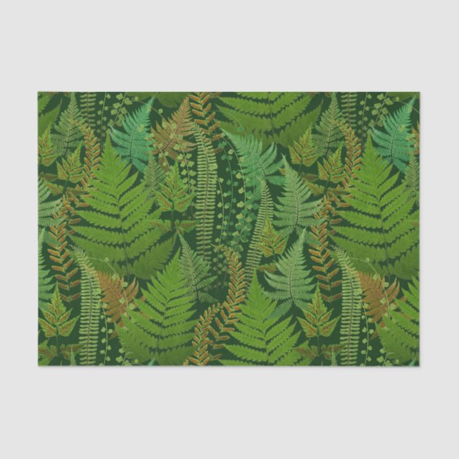 Papel De Seda Forest Ferns (Frente )