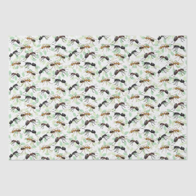 Papel De Seda Formigas Insetam Insetos Criaturas Rastreadas (Frente )