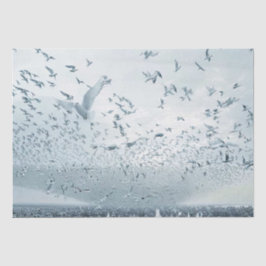 Papel De Seda Foto da pomba da paz de multidão na praia