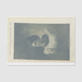 Papel De Seda Foto da princesa, desvinculação