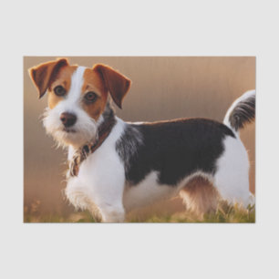 Papel De Seda Foto de Cachorro Cachorro Russel Terrier