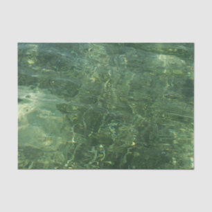 Papel De Seda Foto de Grama II (Azul e Verde)