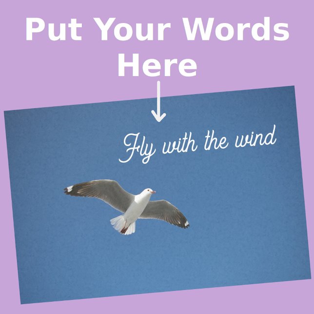 Papel De Seda Foto Inspiração Azul da Cinza Branca de Seagull (Front View)