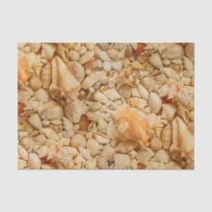 Papel De Seda Foto litoral dos Seashells