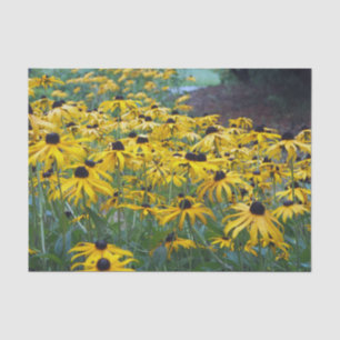 Papel De Seda Foto oral de Susan Floral Colorida de Olho Negro