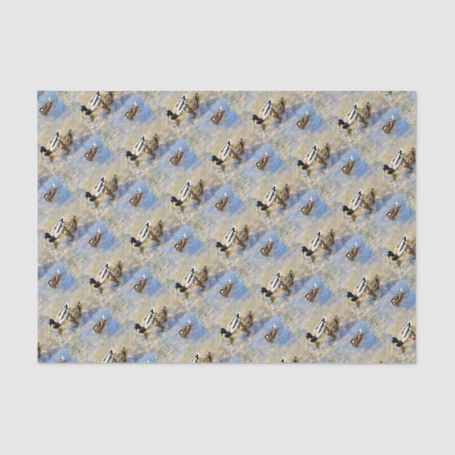 Papel De Seda Foto Patos (Frente )