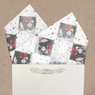 Papel De Seda Foto personalizada de neve e estrelas coincidentes