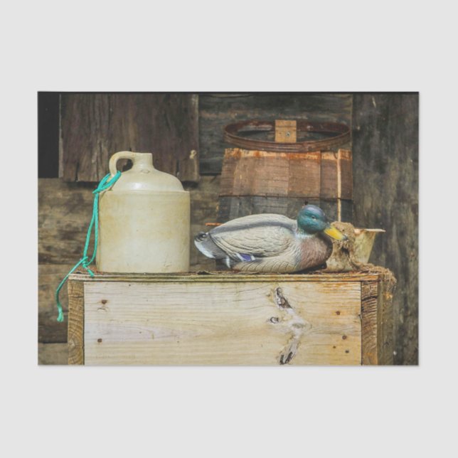 Papel De Seda Foto Rustic Jug Duck Decoy (Frente )