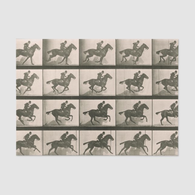 Papel De Seda Fotografia de horta Motion (Frente )