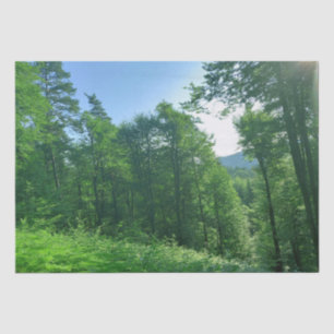 Papel De Seda Fotografia de Paisagem Verde
