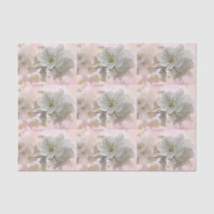 Papel De Seda Fotografia do Flor da Maçã Branca Padrão