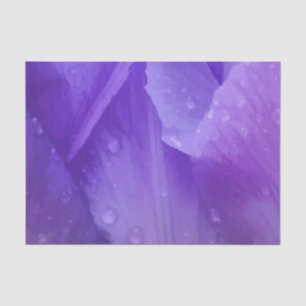 Papel De Seda Fotografia elegante roxa da tulipa da aguarela