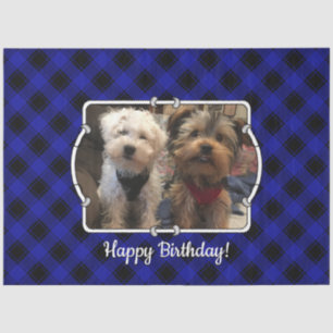 Papel De Seda Fotografia personalizada com legenda Pet Blue & Bl