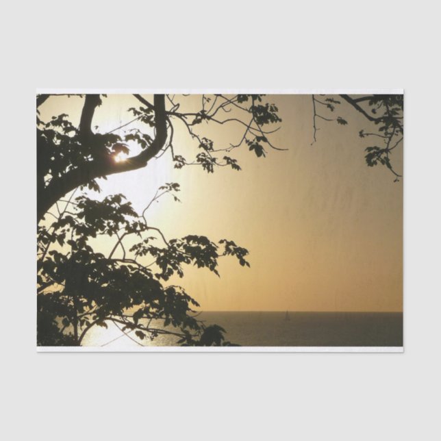 Papel De Seda Fotografia Tropical II através do Sol (Frente )